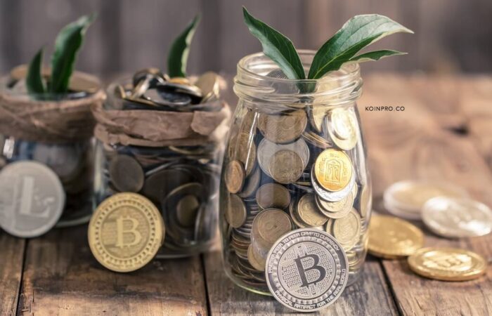 5 Langkah Pengelolaan Uang Sebelum Memulai Investasi Crypto