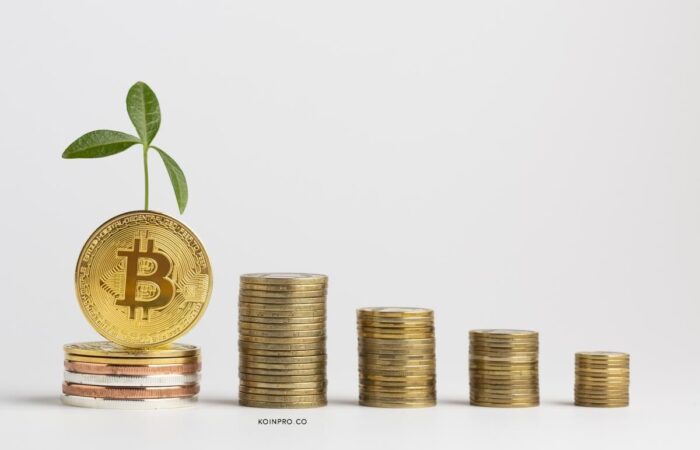 Harga Bitcoin Saat Ini dan 5 Faktor yang Membuatnya Jatuh