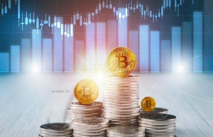 Ini 7 Cara Investasi Bitcoin untuk Pemula yang Terbaik!