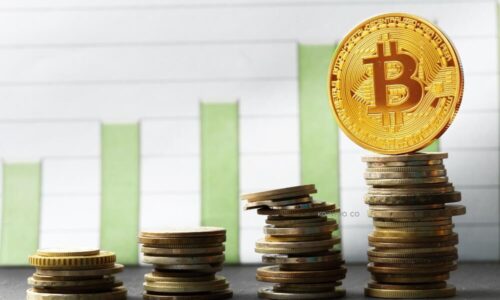 Ini Cara Belajar Bitcoin untuk Pemula agar Raup Keuntungan