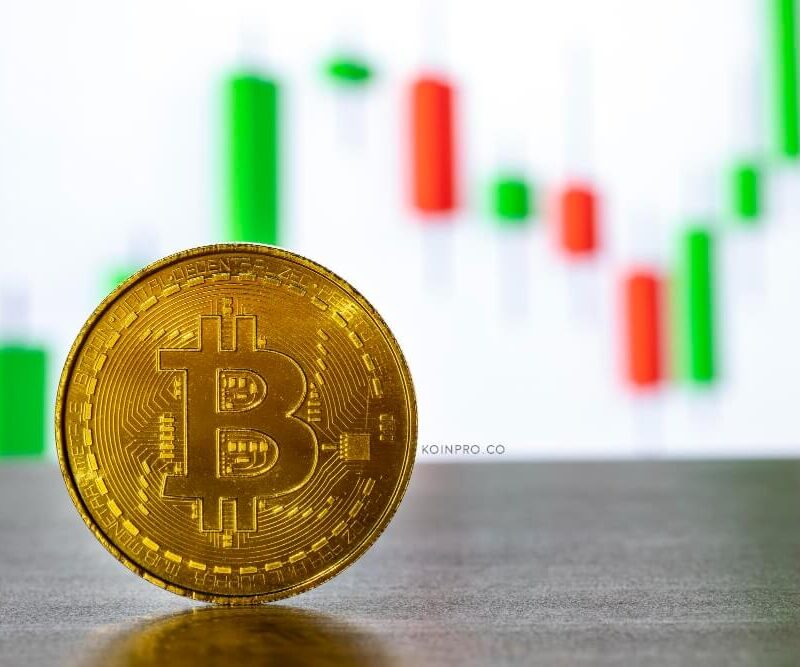 Panduan Lengkap Crypto Trading untuk Pemula