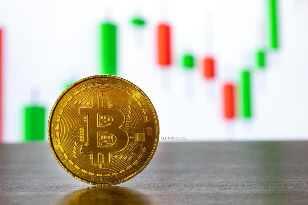 Panduan Lengkap Crypto Trading untuk Pemula