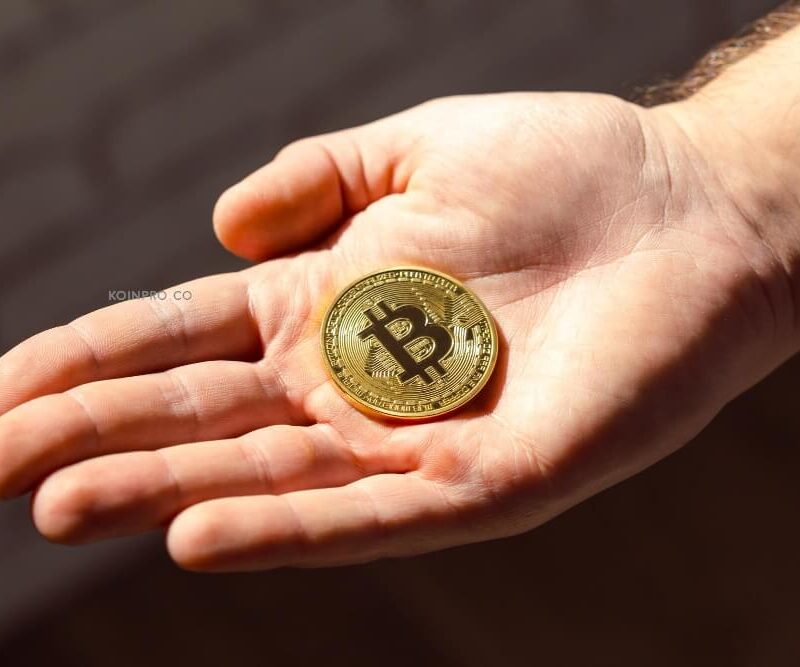 Di Mana Bisa Dapatkan Bitcoin Gratis Terbesar?